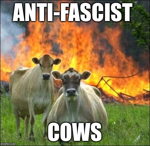 ANTIFAMOO | ANTI-FASCIST; COWS | image tagged in memes,evil cows,antifa,liberals,protesters,milo yiannopoulos | made w/ Imgflip meme maker