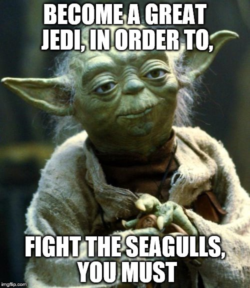 Star Wars Yoda | BECOME A GREAT JEDI, IN ORDER TO, FIGHT THE SEAGULLS, YOU MUST | image tagged in memes,star wars yoda | made w/ Imgflip meme maker