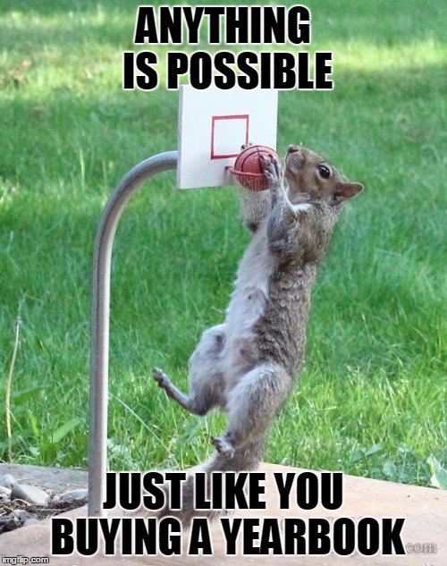 Squirrel basketball | ANYTHING IS POSSIBLE; JUST LIKE YOU BUYING A YEARBOOK | image tagged in squirrel basketball | made w/ Imgflip meme maker