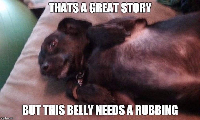 Holly IV | THATS A GREAT STORY; BUT THIS BELLY NEEDS A RUBBING | image tagged in holly iv | made w/ Imgflip meme maker