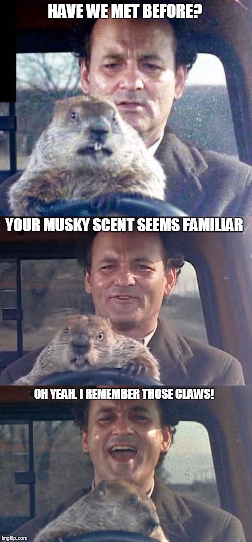 Ground Hog Day Madness | HAVE WE MET BEFORE? YOUR MUSKY SCENT SEEMS FAMILIAR; OH YEAH. I REMEMBER THOSE CLAWS! | image tagged in ground hog day madness | made w/ Imgflip meme maker