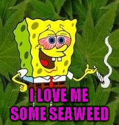 I LOVE ME SOME SEAWEED | made w/ Imgflip meme maker