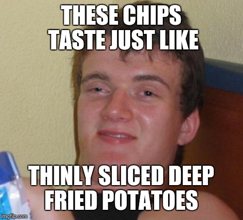 10 Guy Meme | THESE CHIPS TASTE JUST LIKE; THINLY SLICED DEEP FRIED POTATOES | image tagged in memes,10 guy | made w/ Imgflip meme maker