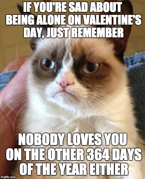 Grumpy Cat | IF YOU'RE SAD ABOUT BEING ALONE ON VALENTINE'S DAY, JUST REMEMBER; NOBODY LOVES YOU ON THE OTHER 364 DAYS OF THE YEAR EITHER | image tagged in memes,grumpy cat | made w/ Imgflip meme maker