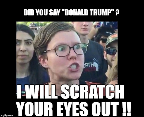 LEFTY | DID YOU SAY "DONALD TRUMP" ? I WILL SCRATCH 
YOUR EYES OUT !! | image tagged in lefty | made w/ Imgflip meme maker