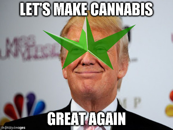 LET'S MAKE CANNABIS GREAT AGAIN | made w/ Imgflip meme maker