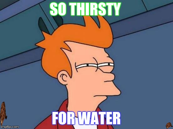 Futurama Fry Meme | SO THIRSTY; FOR WATER | image tagged in memes,futurama fry,scumbag | made w/ Imgflip meme maker
