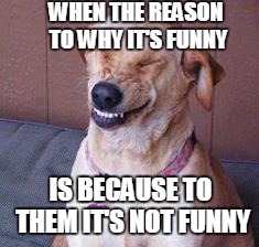 funny dog | WHEN THE REASON TO WHY IT'S FUNNY; IS BECAUSE TO THEM IT'S NOT FUNNY | image tagged in funny dog | made w/ Imgflip meme maker