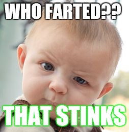 Skeptical Baby Meme | WHO FARTED?? THAT STINKS | image tagged in memes,skeptical baby | made w/ Imgflip meme maker