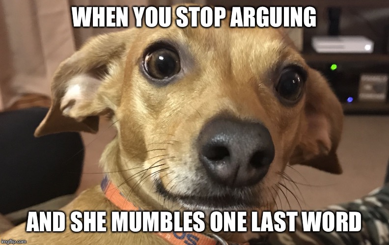 WHEN YOU STOP ARGUING; AND SHE MUMBLES ONE LAST WORD | image tagged in the face | made w/ Imgflip meme maker