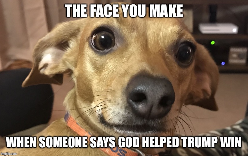 THE FACE YOU MAKE; WHEN SOMEONE SAYS GOD HELPED TRUMP WIN | image tagged in gizmo face you make | made w/ Imgflip meme maker