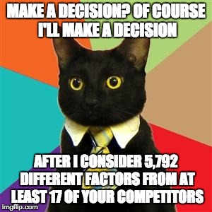 Business Cat | MAKE A DECISION? OF COURSE I'LL MAKE A DECISION; AFTER I CONSIDER 5,792 DIFFERENT FACTORS FROM AT LEAST 17 OF YOUR COMPETITORS | image tagged in business cat | made w/ Imgflip meme maker