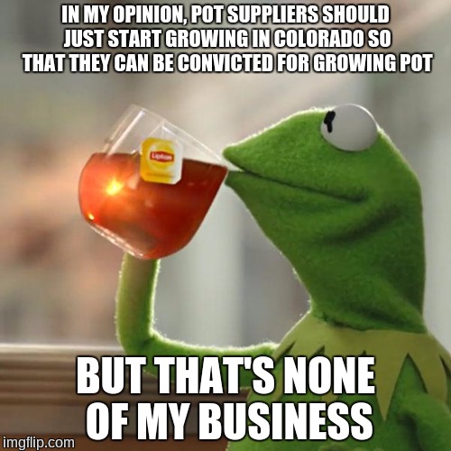 But That's None Of My Business | IN MY OPINION, POT SUPPLIERS SHOULD JUST START GROWING IN COLORADO SO THAT THEY CAN BE CONVICTED FOR GROWING POT; BUT THAT'S NONE OF MY BUSINESS | image tagged in memes,but thats none of my business,kermit the frog | made w/ Imgflip meme maker