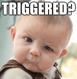 Skeptical Baby | TRIGGERED? | image tagged in memes,skeptical baby | made w/ Imgflip meme maker