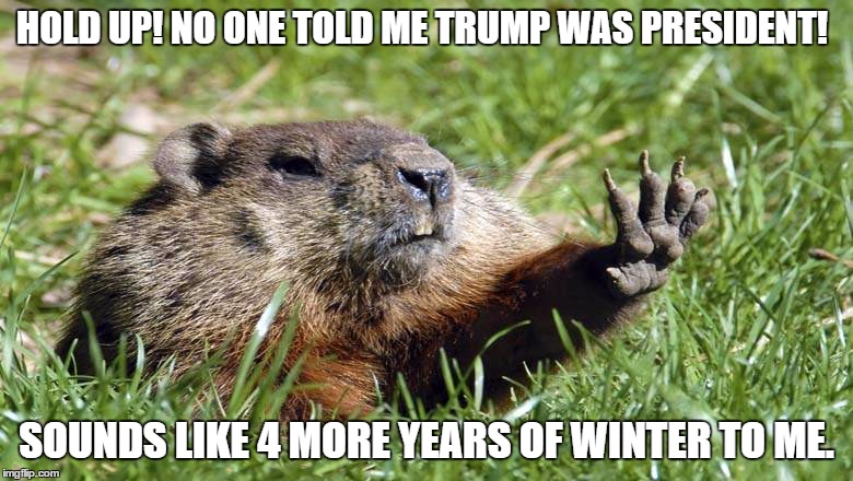 HOLD UP! NO ONE TOLD ME TRUMP WAS PRESIDENT! SOUNDS LIKE 4 MORE YEARS OF WINTER TO ME. | image tagged in winter is coming,4 more years of winter,donald trump,not my president,ground hog day | made w/ Imgflip meme maker