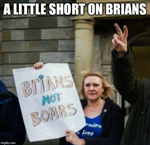 Brians | A LITTLE SHORT ON BRIANS | image tagged in brians | made w/ Imgflip meme maker