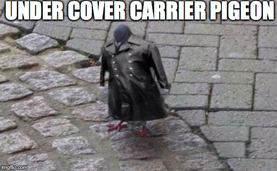 Spy Pigeon | UNDER COVER CARRIER PIGEON | image tagged in spy | made w/ Imgflip meme maker