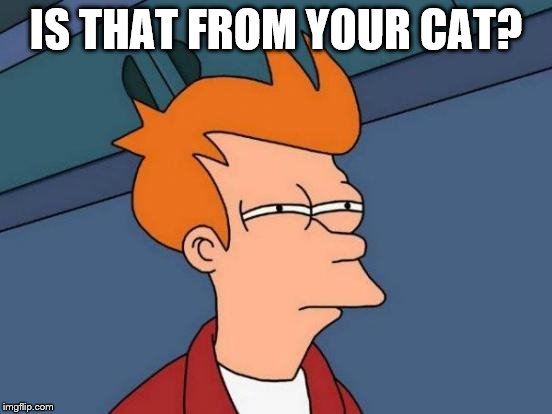 Futurama Fry Meme | IS THAT FROM YOUR CAT? | image tagged in memes,futurama fry | made w/ Imgflip meme maker