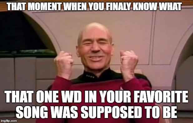 Excited Picard | THAT MOMENT WHEN YOU FINALY KNOW WHAT; THAT ONE WD IN YOUR FAVORITE SONG WAS SUPPOSED TO BE | image tagged in excited picard | made w/ Imgflip meme maker