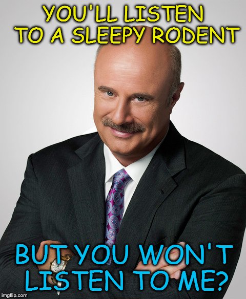 doctor phil | YOU'LL LISTEN TO A SLEEPY RODENT; BUT YOU WON'T LISTEN TO ME? | image tagged in doctor phil | made w/ Imgflip meme maker