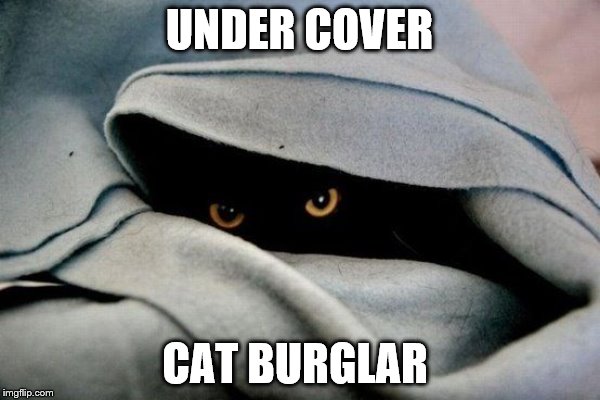 UNDER COVER CAT BURGLAR | made w/ Imgflip meme maker