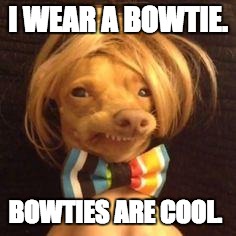 phteven dog | I WEAR A BOWTIE. BOWTIES ARE COOL. | image tagged in phteven dog | made w/ Imgflip meme maker