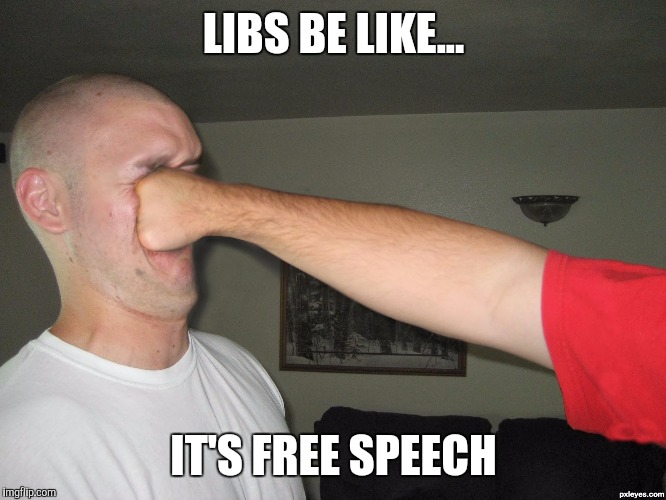 Face punch | LIBS BE LIKE... IT'S FREE SPEECH | image tagged in face punch | made w/ Imgflip meme maker