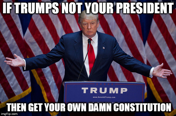 Donald Trump | IF TRUMPS NOT YOUR PRESIDENT; THEN GET YOUR OWN DAMN CONSTITUTION | image tagged in donald trump | made w/ Imgflip meme maker