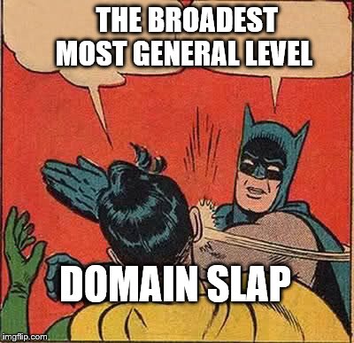 Batman Slapping Robin Meme | THE BROADEST  MOST GENERAL LEVEL; DOMAIN SLAP | image tagged in memes,batman slapping robin | made w/ Imgflip meme maker