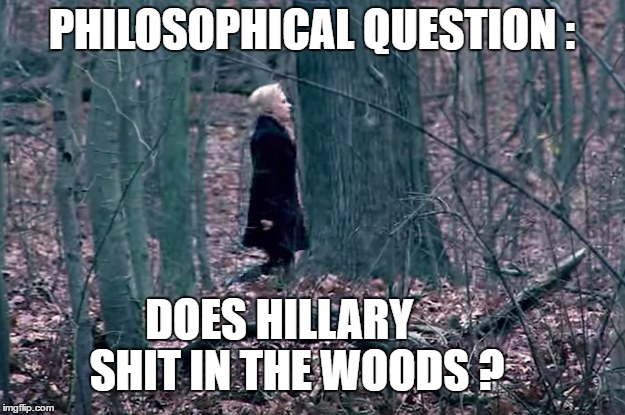 In the woods | PHILOSOPHICAL QUESTION :; DOES HILLARY     SHIT IN THE WOODS ? | image tagged in groundhog day | made w/ Imgflip meme maker