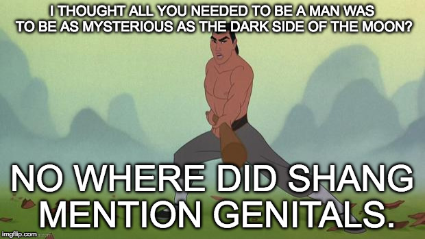 mulan | I THOUGHT ALL YOU NEEDED TO BE A MAN WAS TO BE AS MYSTERIOUS AS THE DARK SIDE OF THE MOON? NO WHERE DID SHANG MENTION GENITALS. | image tagged in mulan | made w/ Imgflip meme maker
