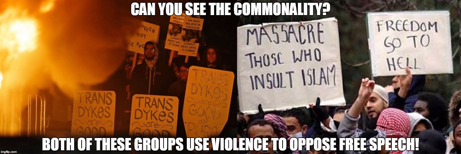 Free speech is hate speech to Muslims and snowflakes! | CAN YOU SEE THE COMMONALITY? BOTH OF THESE GROUPS USE VIOLENCE TO OPPOSE FREE SPEECH! | image tagged in islam,uc berkeley,free speech,violence,muslim,protest | made w/ Imgflip meme maker