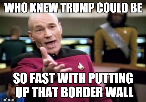 Picard Wtf Meme | WHO KNEW TRUMP COULD BE SO FAST WITH PUTTING UP THAT BORDER WALL | image tagged in memes,picard wtf | made w/ Imgflip meme maker