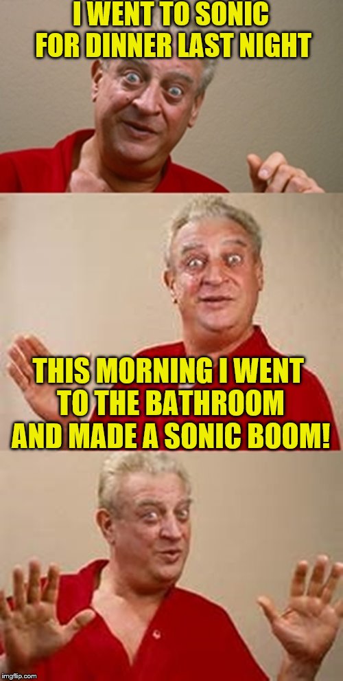 bad pun Dangerfield  | I WENT TO SONIC FOR DINNER LAST NIGHT; THIS MORNING I WENT TO THE BATHROOM AND MADE A SONIC BOOM! | image tagged in bad pun dangerfield | made w/ Imgflip meme maker