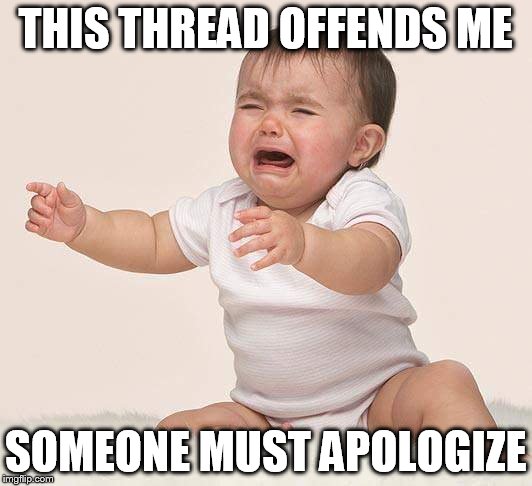 I'm offended | THIS THREAD OFFENDS ME; SOMEONE MUST APOLOGIZE | image tagged in i'm offended | made w/ Imgflip meme maker