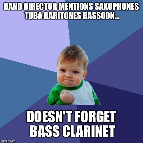 Success Kid | BAND DIRECTOR MENTIONS SAXOPHONES TUBA BARITONES BASSOON... DOESN'T FORGET BASS CLARINET | image tagged in memes,success kid | made w/ Imgflip meme maker