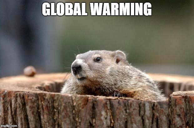 Groundhog's Prediction 2017 | GLOBAL WARMING | image tagged in groundhog,global warming,funny memes,memes | made w/ Imgflip meme maker