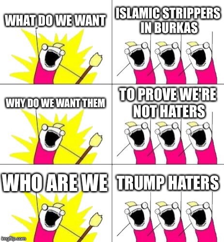 So Chuck Schumer tried to cry | WHAT DO WE WANT; ISLAMIC STRIPPERS IN BURKAS; WHY DO WE WANT THEM; TO PROVE WE'RE NOT HATERS; WHO ARE WE; TRUMP HATERS | image tagged in memes,what do we want 3 | made w/ Imgflip meme maker
