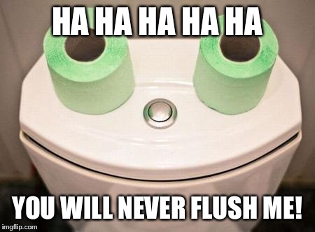 Happy toilet | HA HA HA HA HA; YOU WILL NEVER FLUSH ME! | image tagged in happy toilet | made w/ Imgflip meme maker