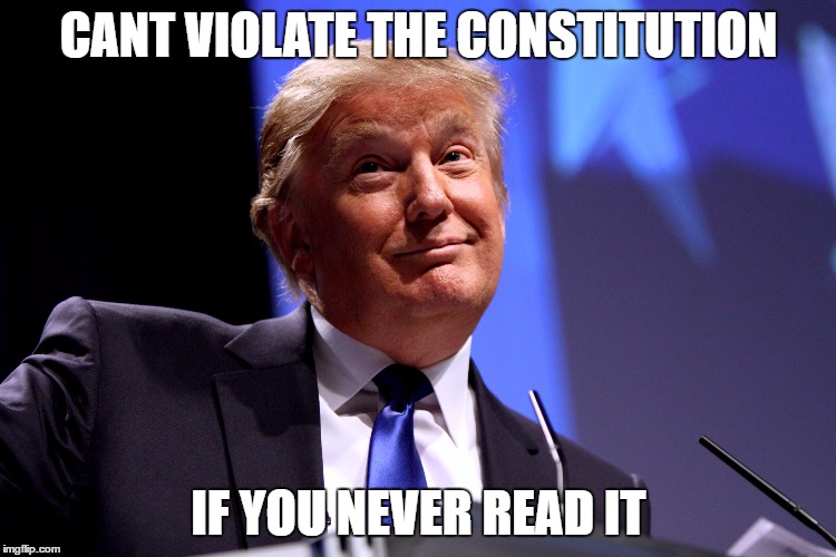 Donald Trump | CANT VIOLATE THE CONSTITUTION; IF YOU NEVER READ IT | image tagged in donald trump | made w/ Imgflip meme maker