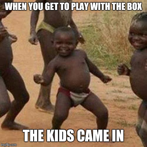 Third World Success Kid | WHEN YOU GET TO PLAY WITH THE BOX; THE KIDS CAME IN | image tagged in memes,third world success kid | made w/ Imgflip meme maker
