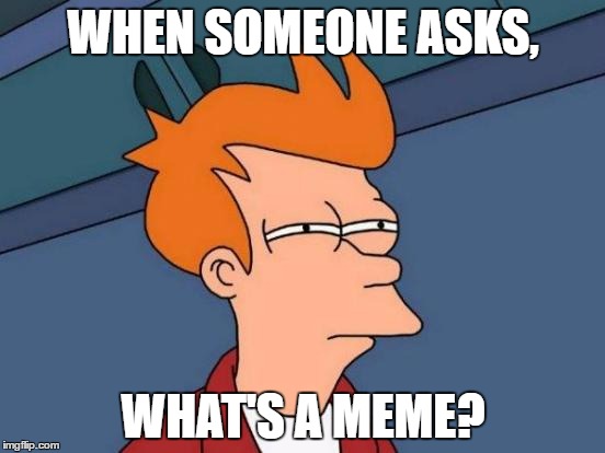 Futurama Fry Meme | WHEN SOMEONE ASKS, WHAT'S A MEME? | image tagged in memes,futurama fry | made w/ Imgflip meme maker