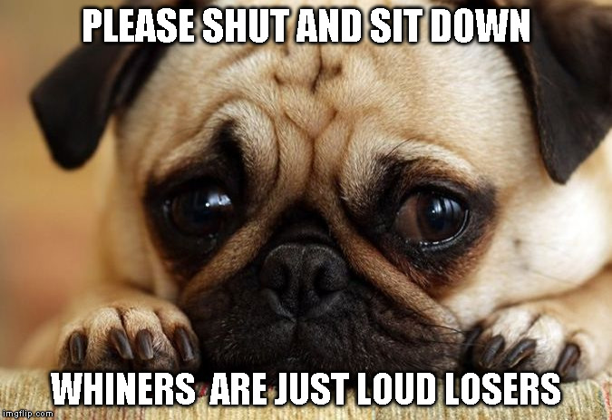 MISS YOU | PLEASE SHUT AND SIT DOWN; WHINERS  ARE JUST LOUD LOSERS | image tagged in miss you | made w/ Imgflip meme maker