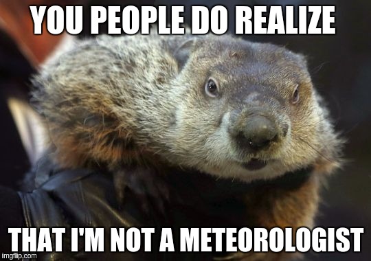 Grumpy Groundhog
 | YOU PEOPLE DO REALIZE; THAT I'M NOT A METEOROLOGIST | image tagged in groundhog,memes | made w/ Imgflip meme maker