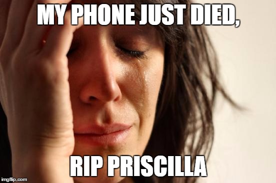 First World Problems | MY PHONE JUST DIED, RIP PRISCILLA | image tagged in memes,first world problems | made w/ Imgflip meme maker