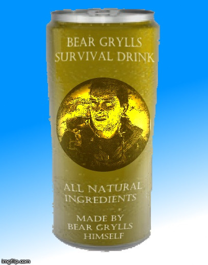 Golden Survival | image tagged in memes,bear grylls | made w/ Imgflip meme maker