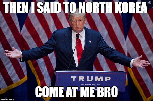 Donald Trump | THEN I SAID TO NORTH KOREA; COME AT ME BRO | image tagged in donald trump,come at me bro,funny | made w/ Imgflip meme maker