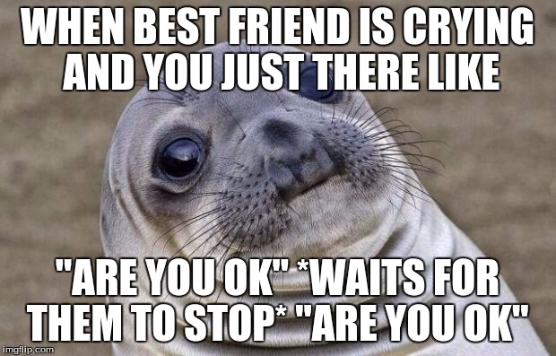 Always Happens...  | WHEN BEST FRIEND IS CRYING AND YOU JUST THERE LIKE; "ARE YOU OK" *WAITS FOR THEM TO STOP* "ARE YOU OK" | image tagged in memes,awkward moment sealion | made w/ Imgflip meme maker