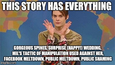 Stefan snl | THIS STORY HAS EVERYTHING; GORGEOUS SPINES, SURPRISE (HAPPY!) WEDDING, MIL'S TACTIC OF MANIPULATION USED AGAINST HER, FACEBOOK MELTDOWN, PUBLIC MELTDOWN, PUBLIC SHAMING | image tagged in stefan snl | made w/ Imgflip meme maker