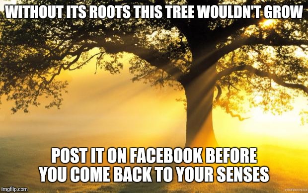 nature | WITHOUT ITS ROOTS THIS TREE WOULDN'T GROW; POST IT ON FACEBOOK BEFORE YOU COME BACK TO YOUR SENSES | image tagged in nature | made w/ Imgflip meme maker